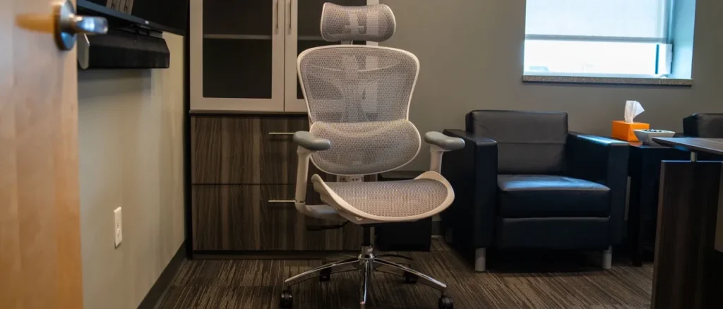 The best office chairs 2024 The best office chairs 2024-Sihoo Doro C300