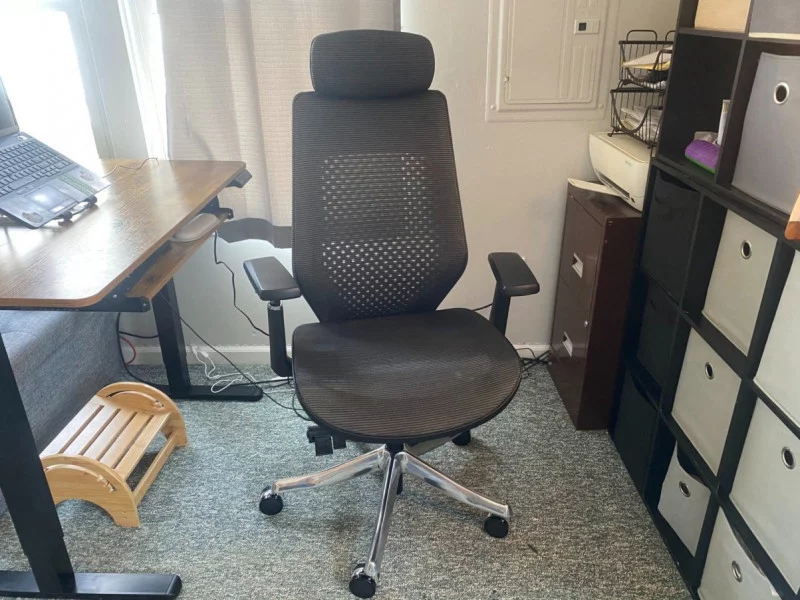The best office chairs 2024 The best office chairs 2024-Flexispot BS11 Pro