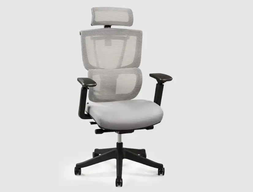 The best office chairs 2024 The best office chairs 2024-Flexispot C7